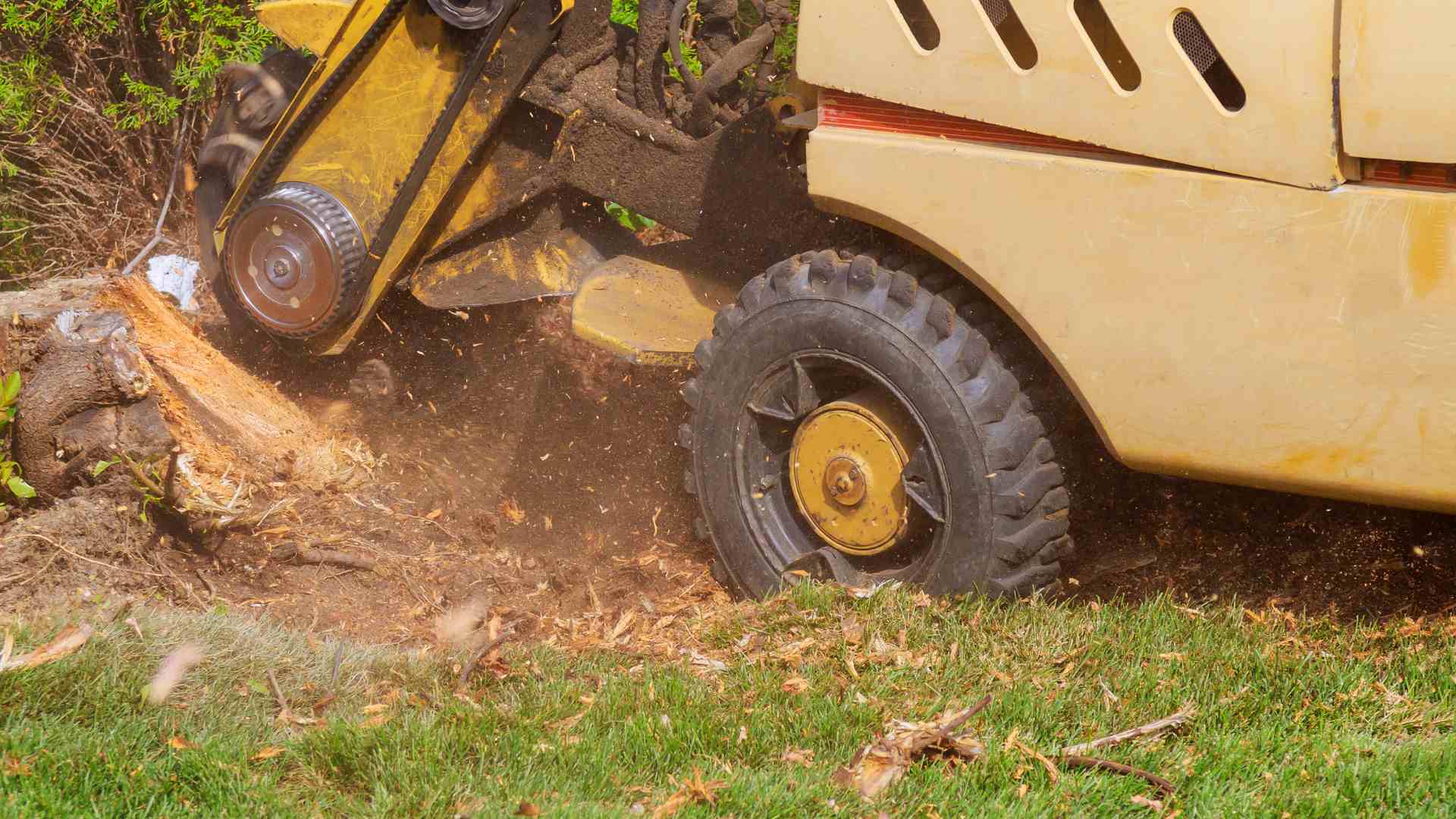 Stump Grinding Img